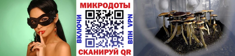 наркотики  MEGA зеркало  Псилоцибиновые грибы Psilocybe  Ликино-Дулёво 